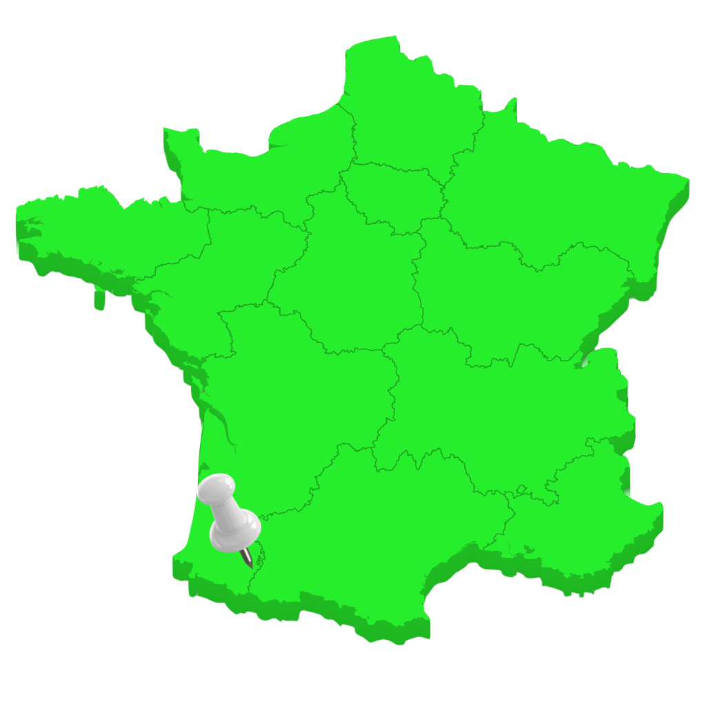 Carte de france avec pins à Coarraze